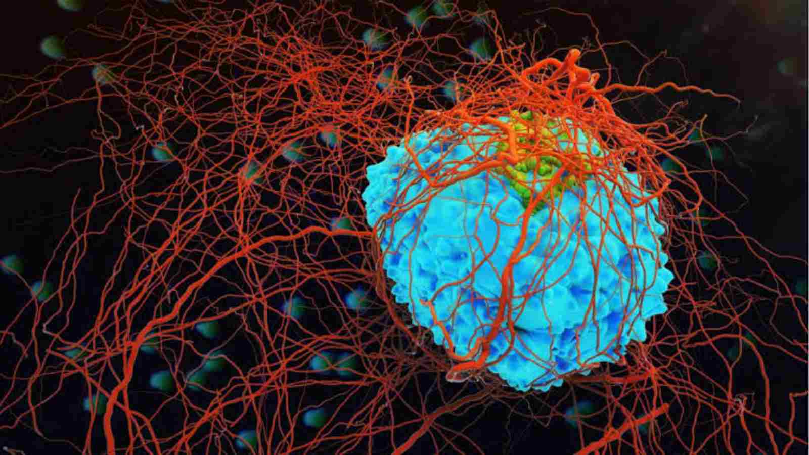 ERX- 41 kills even the resistant cancer cells