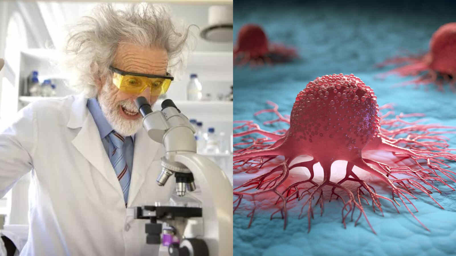 Scientists Discover Molecule That Kills Even The Deadliest Cancer: All ...