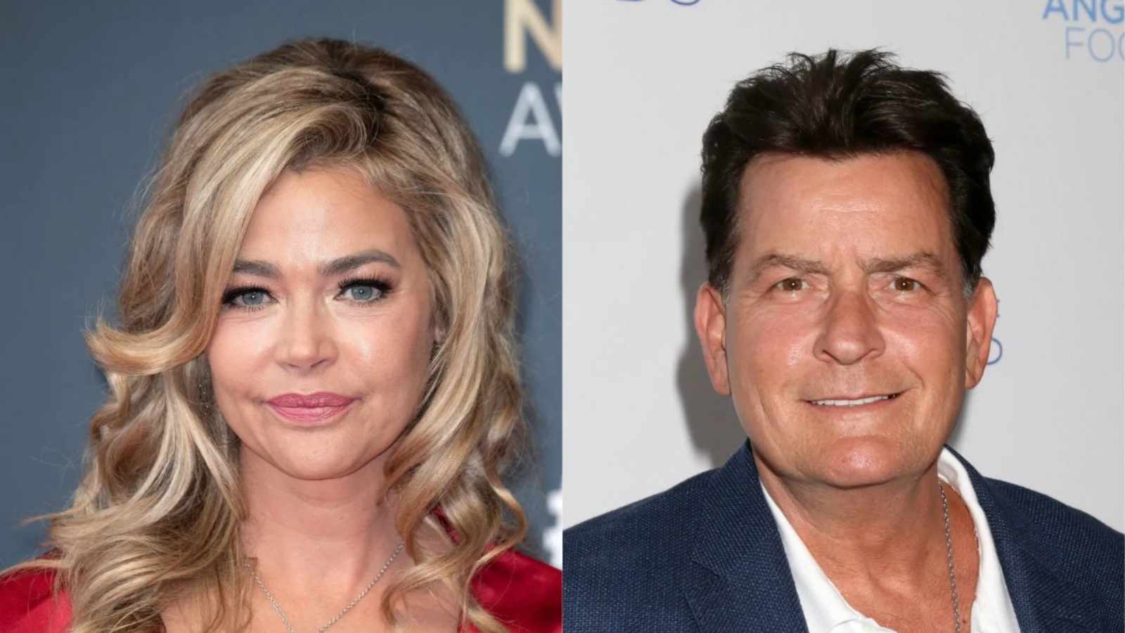 Charlie Sheen Lashes At His Ex-Wife Denise Richards 