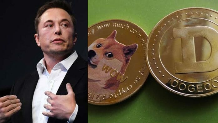 Elon Musk is in legal and financial trouble as gets sued for false promotion of dogecoin