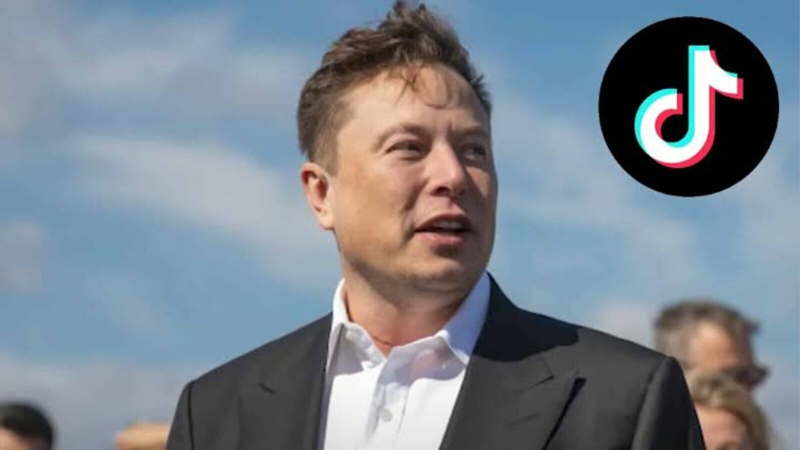 Elon Musk Twitter TikTok