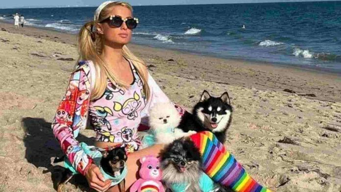 Paris Hilton flaunts a new look in powerpuff girls themed clothing and rainbox socks