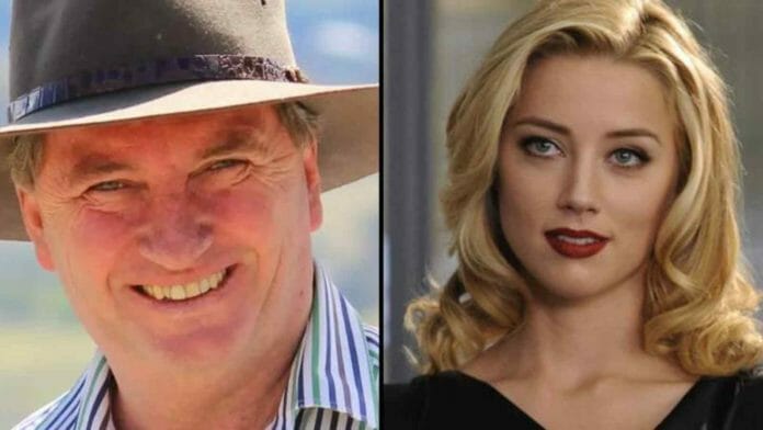 Australian Politician Wants Amber Heard To Go To Jail In The Perjury Case