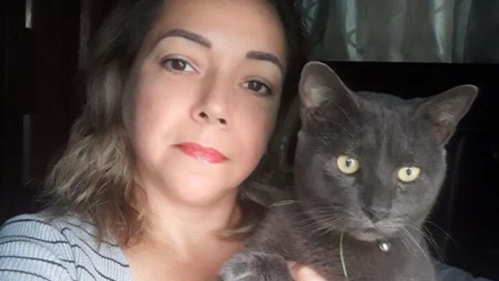 A Woman In Mexico Finds Out Her Cat Has Been Living A Double Life