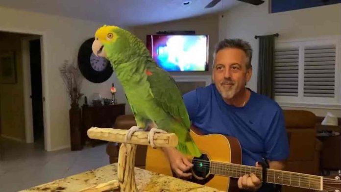 Tico the parrot, alongside its owner Frank
