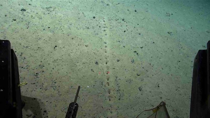 Scientists find interesting holes on the seabed of the Atlantic Ocean