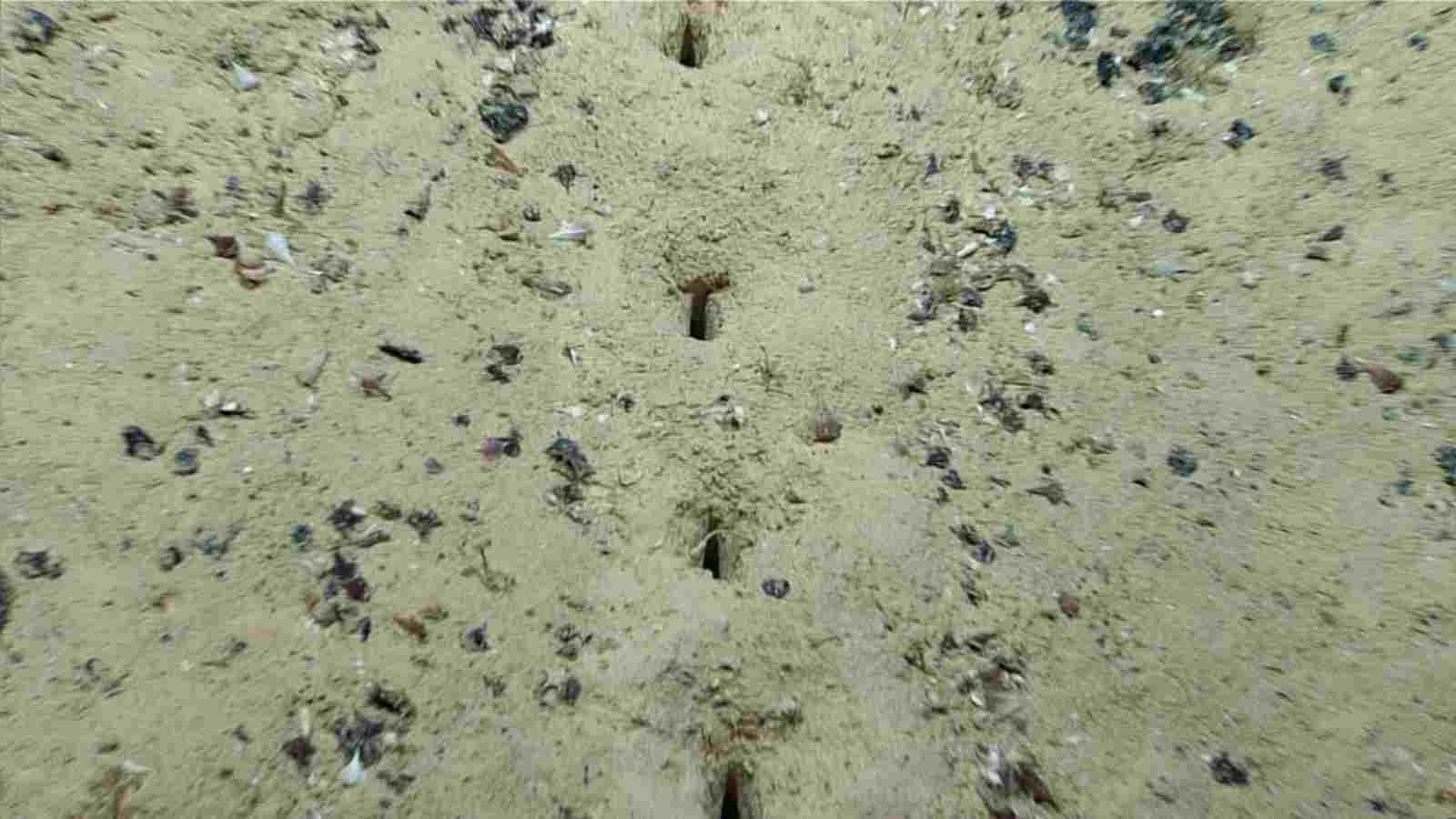 The holes on the seabed in a perfect straight line.