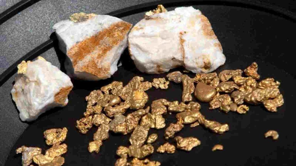 Pieces of gold recovered in a smuggling trade 