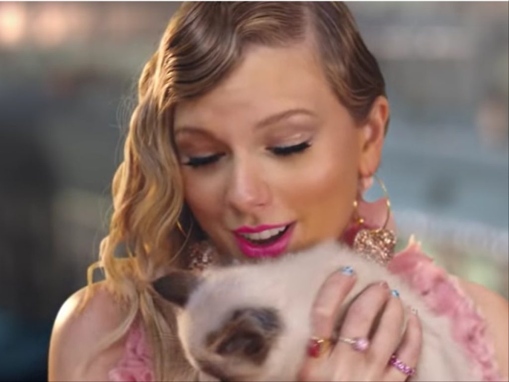 Taylor Swift is a cat lover