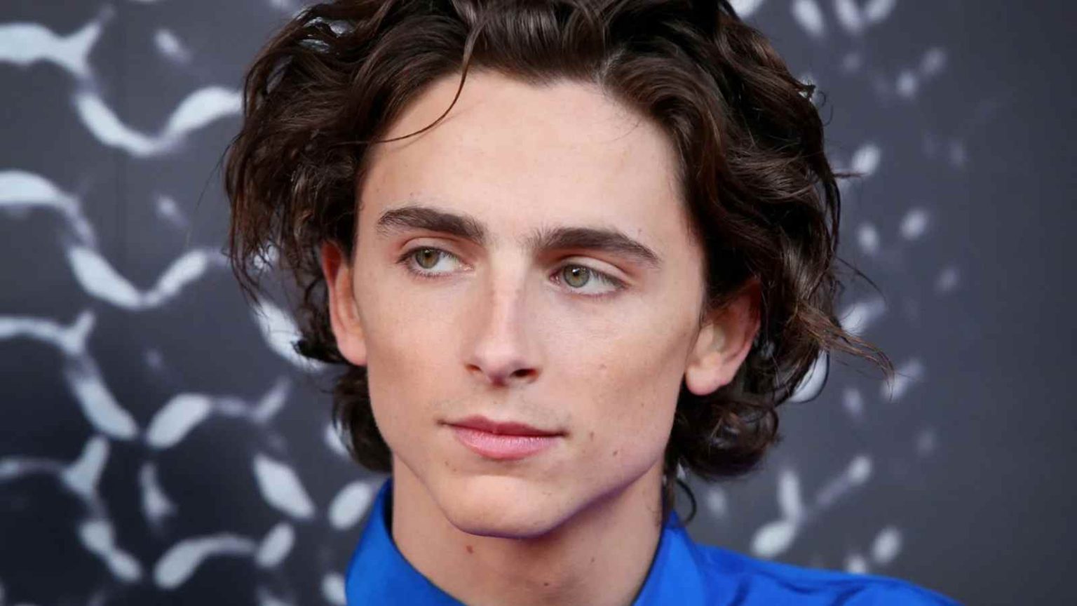 Timothée Chalamet Net Worth 2024 How Rich Is The 'Dune' Star?