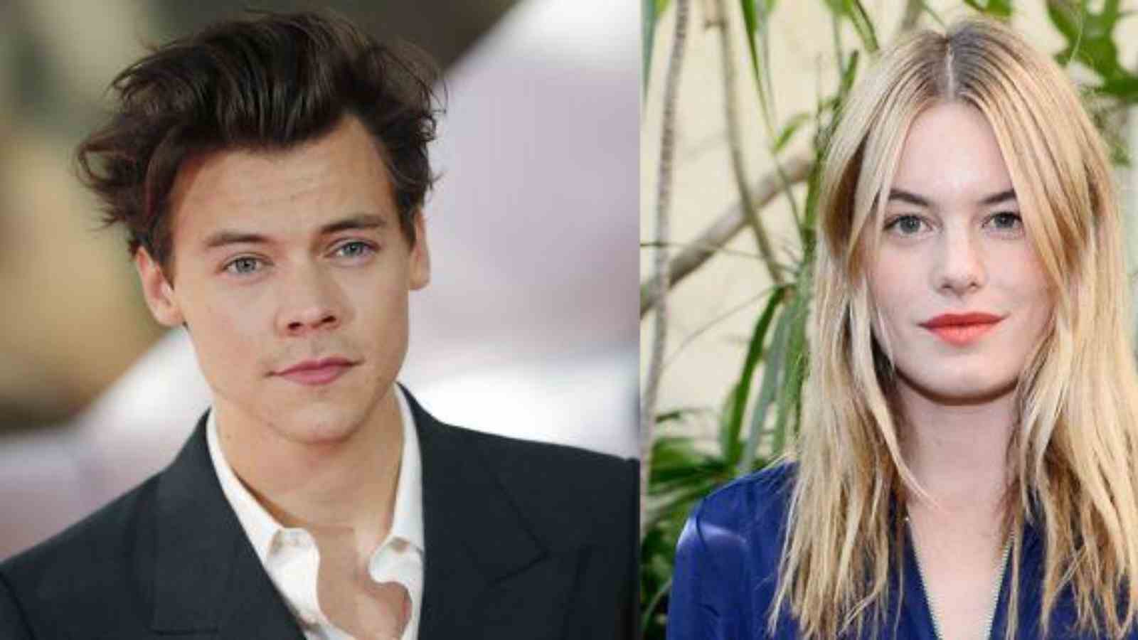 Harry Styles dated Camille Rowe for a year