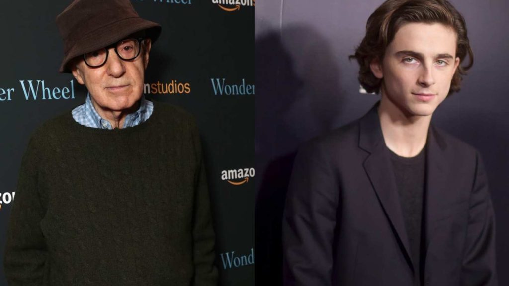 did-timoth-e-chalamet-denounce-woody-allen-and-donate-his-a-rainy-day