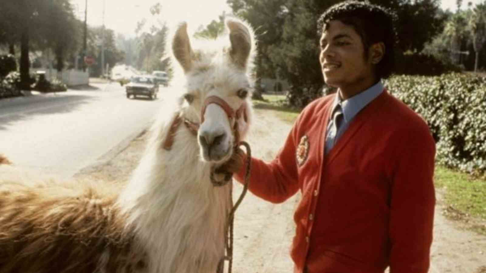 Michael Jackson with his llama