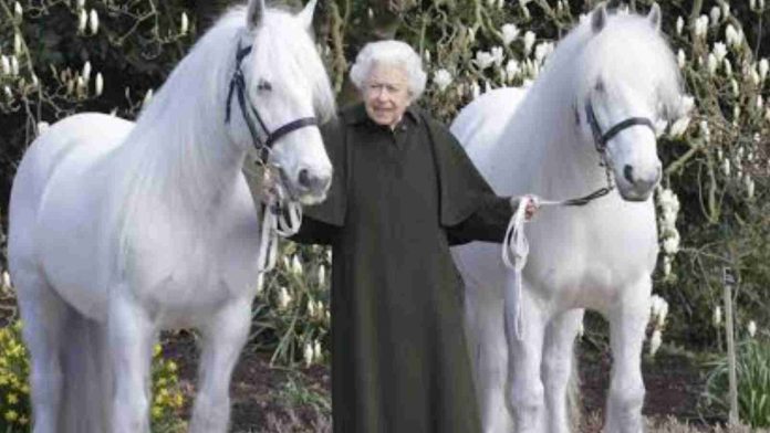 Queen Elizabeth with her horses