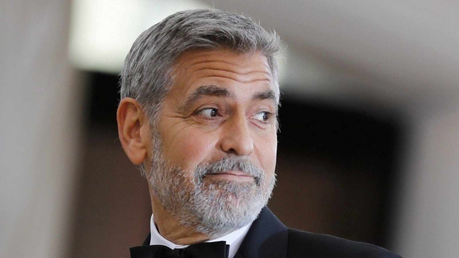 Clooney Net Worth 2024, Career, Endorsements, Wife, House, And More