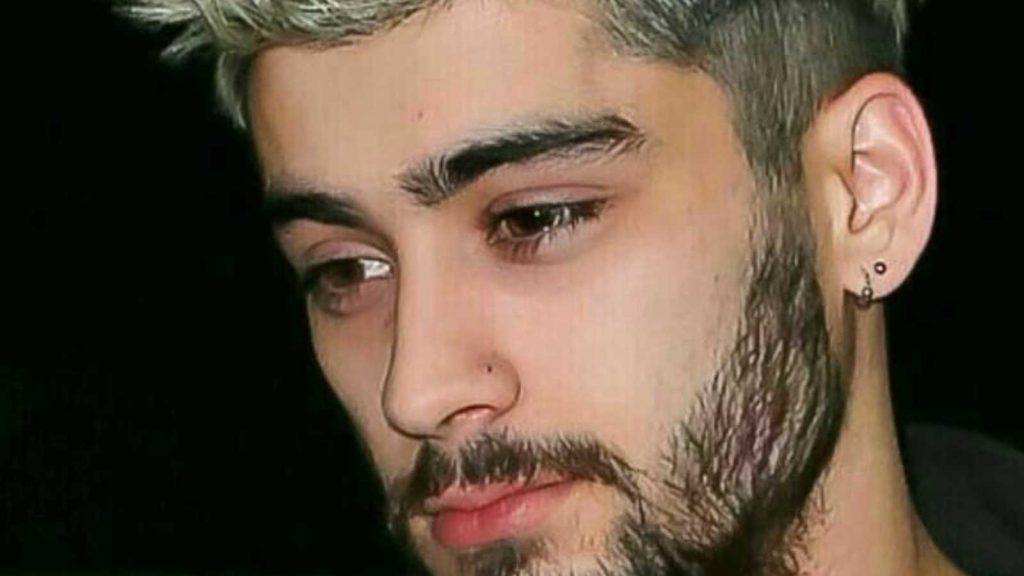 Zayn Malik Net Worth How Much Wealth Does The British Singer Have