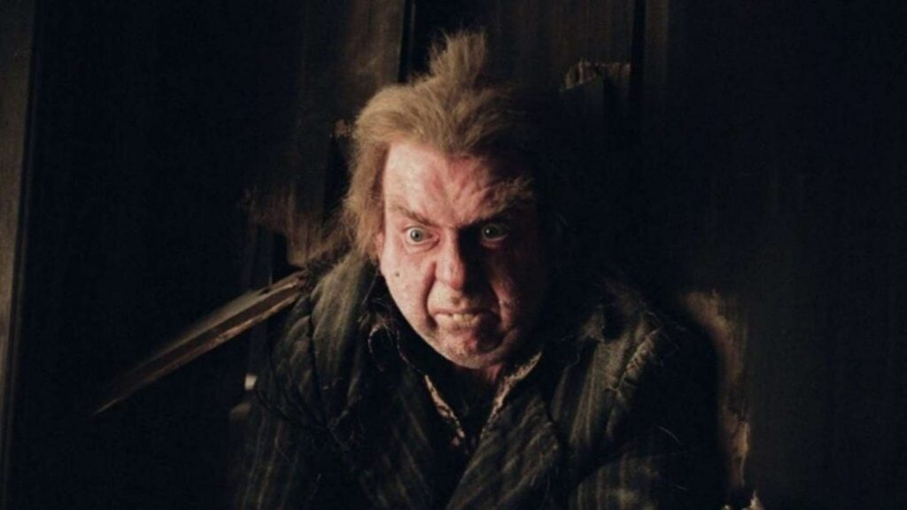 Peter Pettigrew in 'Harry Potter'