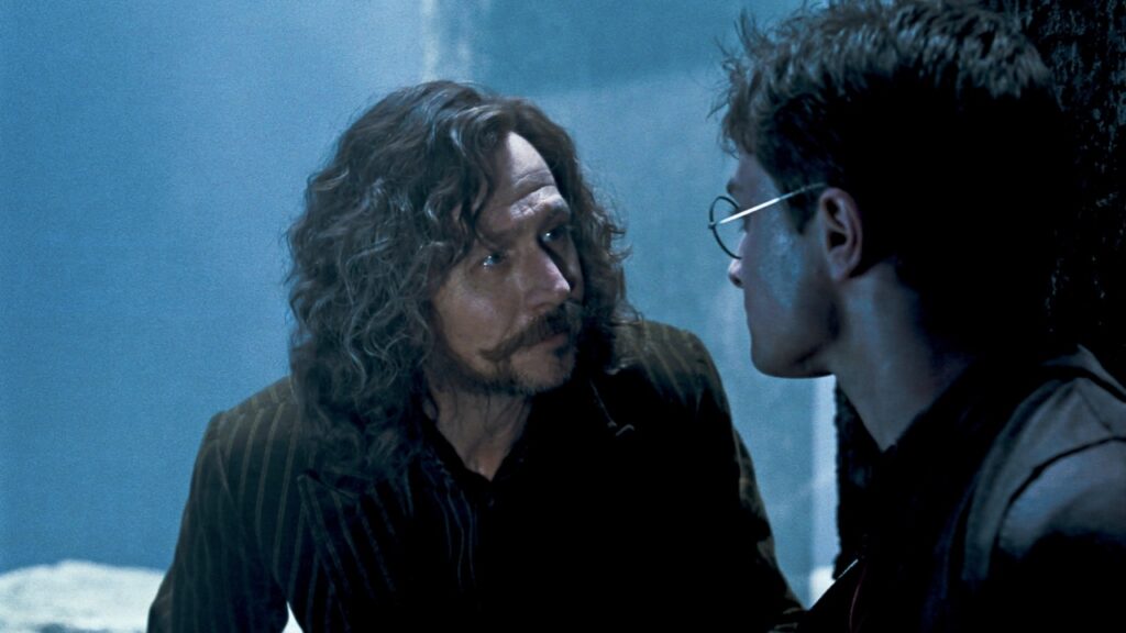 Sirius and Harry in 'Harry Potter'