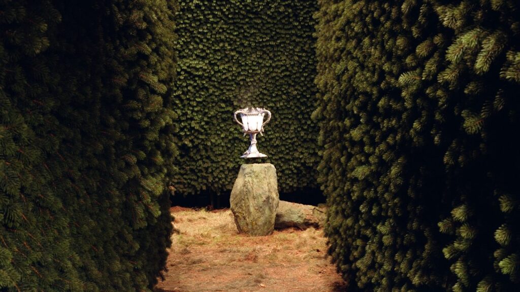 The Triwizard Cup in 'Harry Potter'