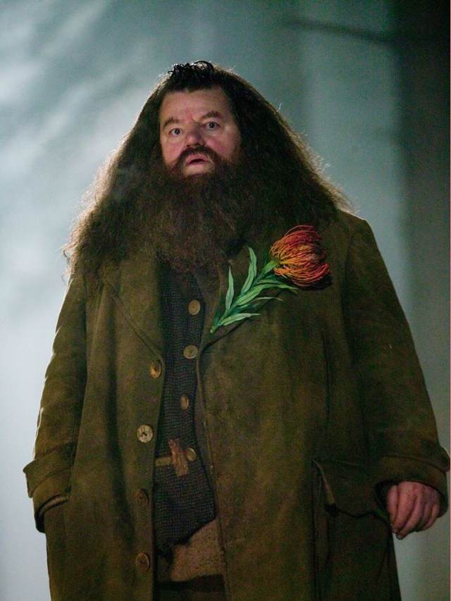 Remembering Robbie Coltrane, Our Beloved Hagrid