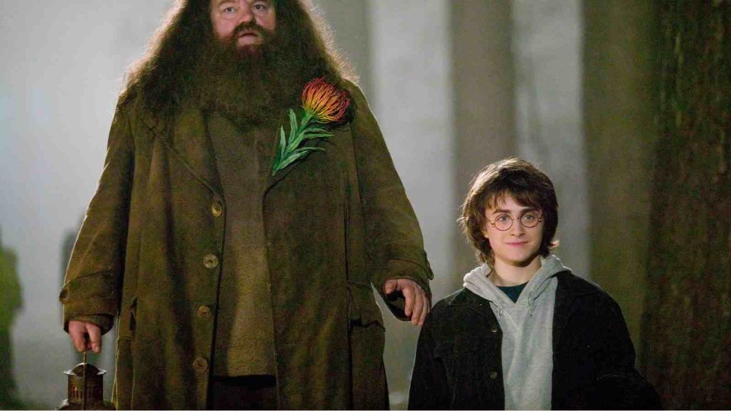 Robbie Coltrane and Daniel Radcliffe in Harry Potter