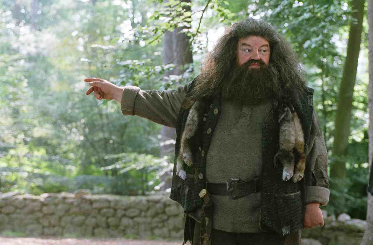 Hagrid