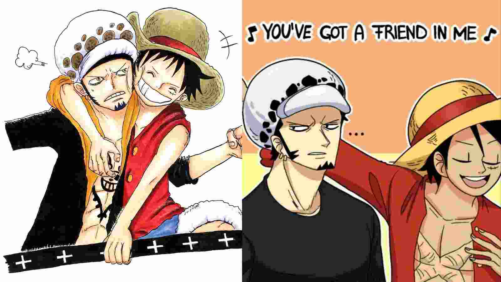 what-is-the-relationship-between-luffy-and-law-in-one-piece