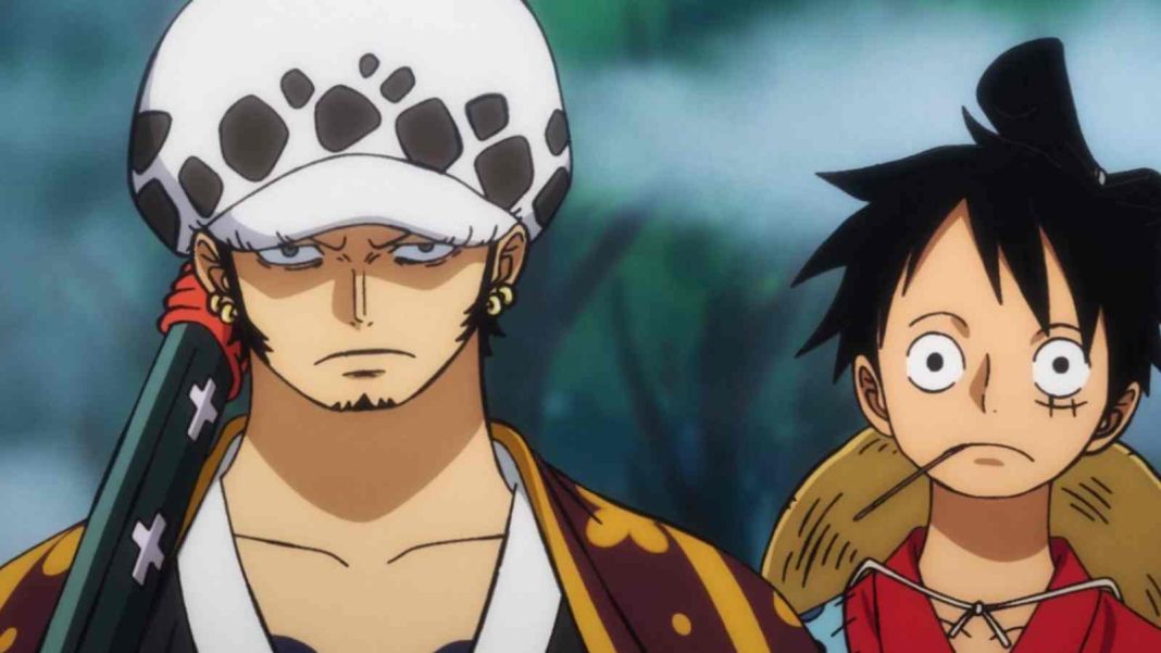 What Is The Relationship Between Luffy And Law In 'One Piece'?