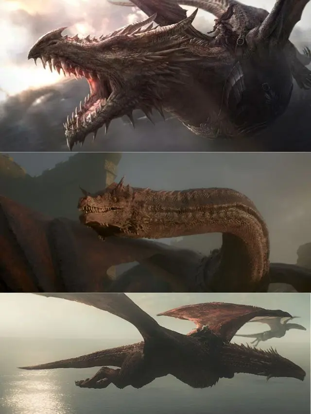 Dragons Of ‘Blacks’ In ‘House Of The Dragon’ - First Curiosity