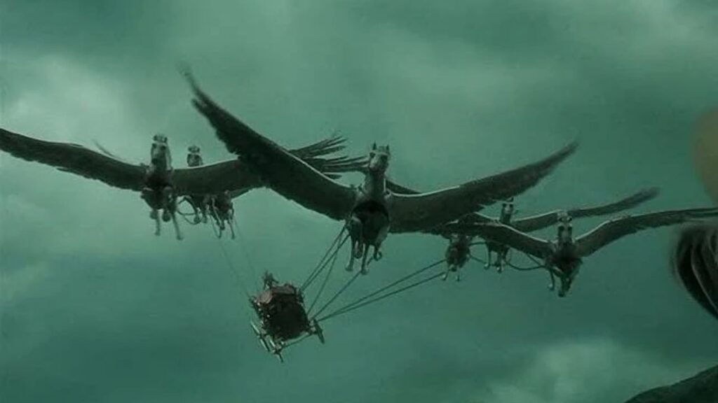 Abraxan Winged Horse