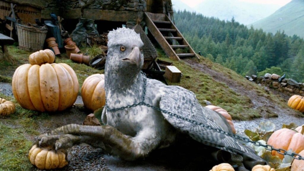 Hagrid’s Mystery Pet Buckbeak