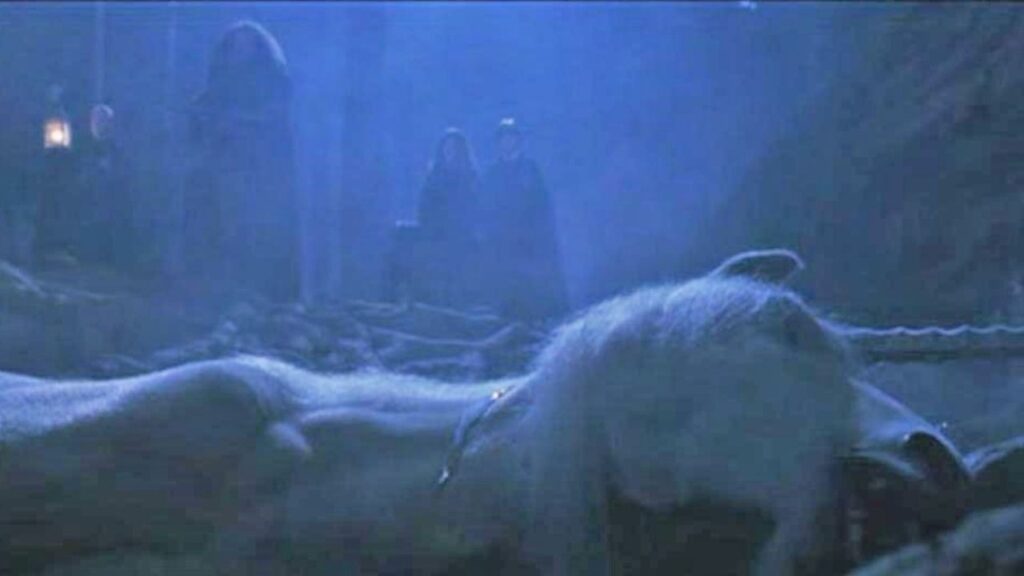 Unicorn in Harry Potter