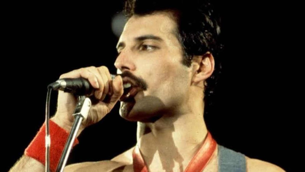 Freddie Mercury's Possessions After Death - FirstCuriosity