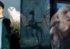Owl, Thestral, and House Elf from 'Harry Potter'