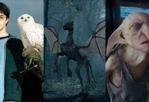 Owl, Thestral, and House Elf from 'Harry Potter'