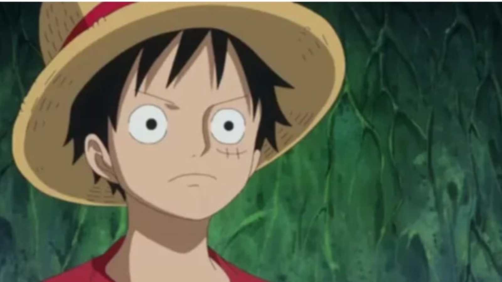 'One Piece': How Did Luffy Get The X Scar On His Chest?