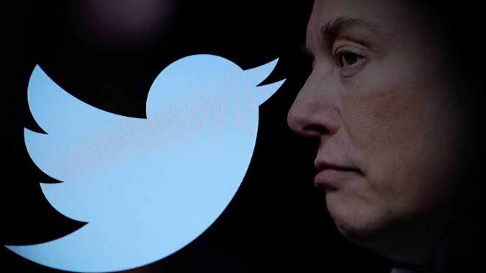 Elon Musk issues new Twitter guidelines for parody and fan accounts.