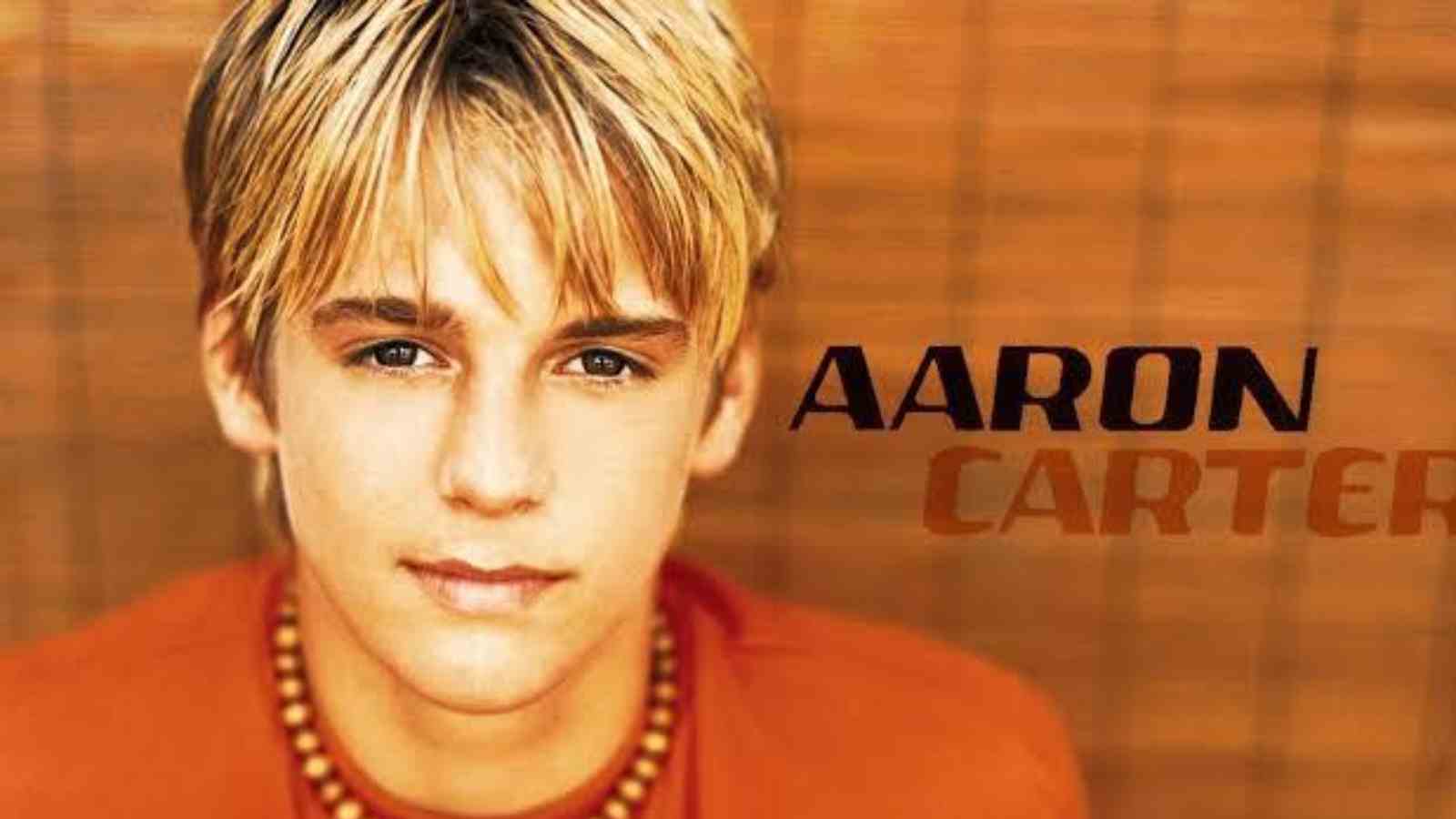 How much did the singer and rapper Aaron Carter earn?