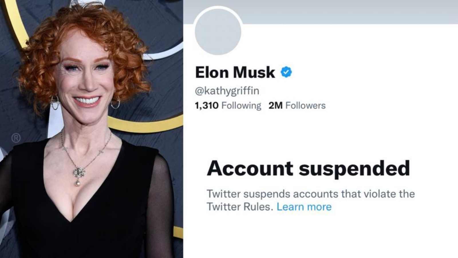 Kathy Griffin's Twitter account gets suspended following her impersonation of Elon Musk