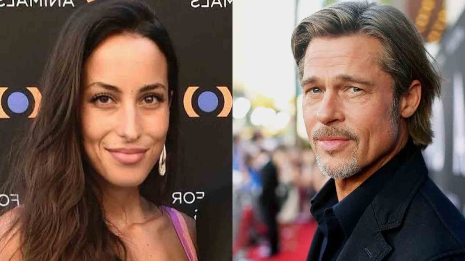 Who Is Ines de Ramon, Mystery Woman Spotted With Brad Pitt?