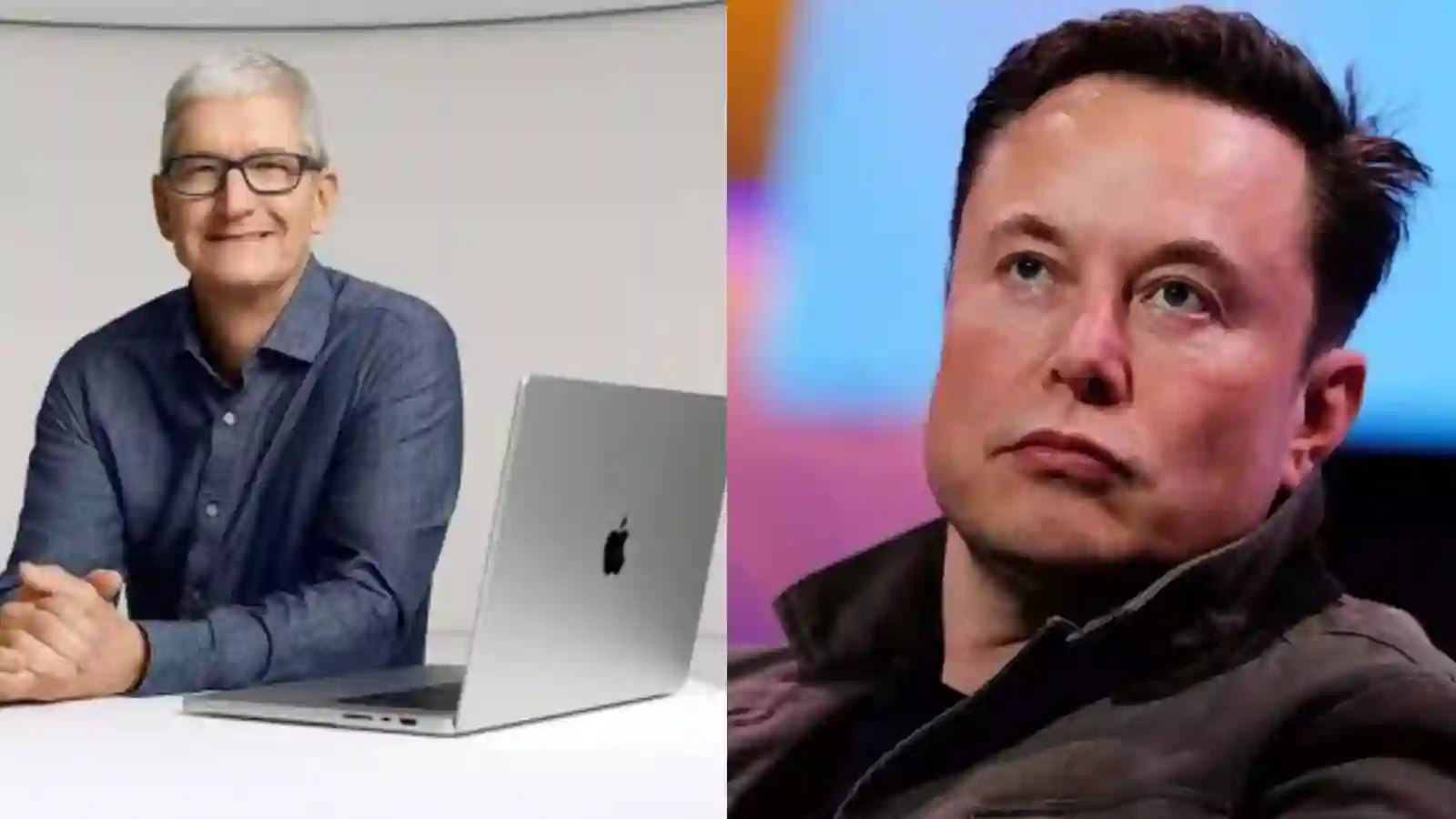 Tim Cook and Elon Musk