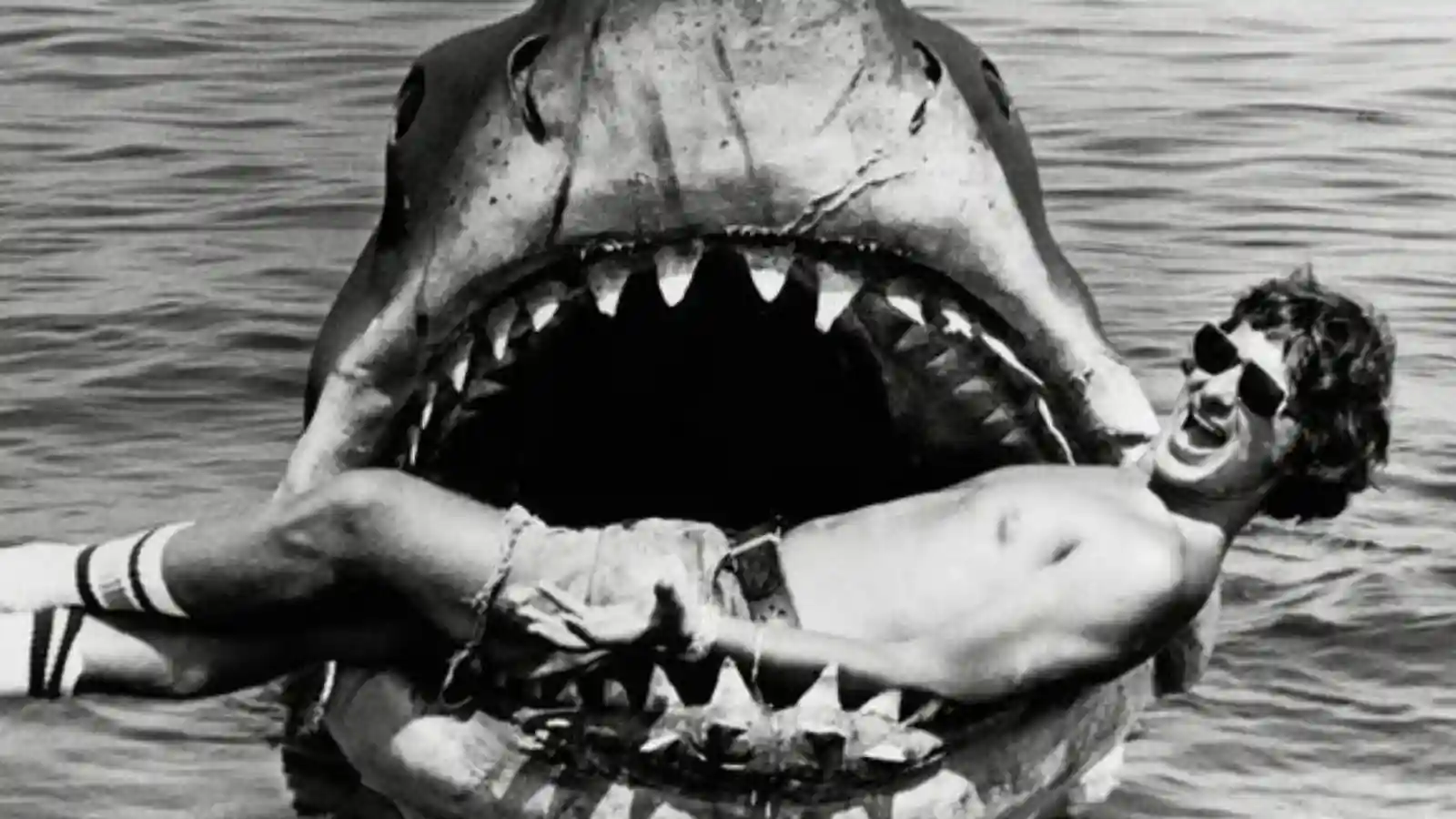Steven Spielberg on 'Jaws' set