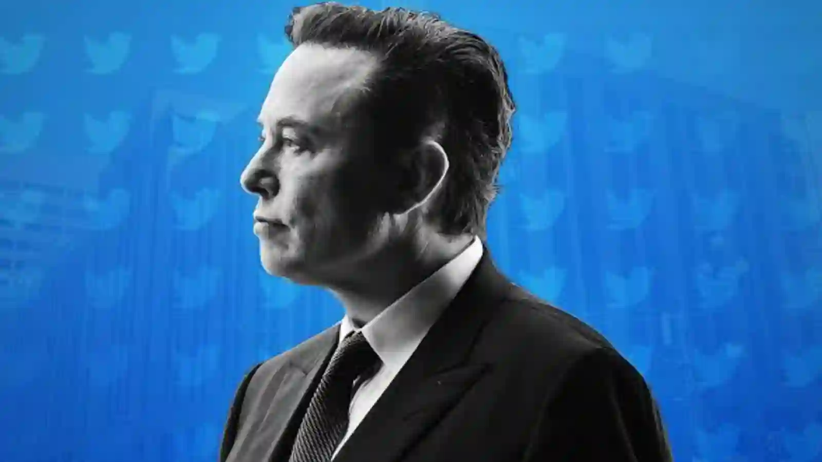 Elon Musk-led Twitter shadow-banned Sweeney's new private jet account