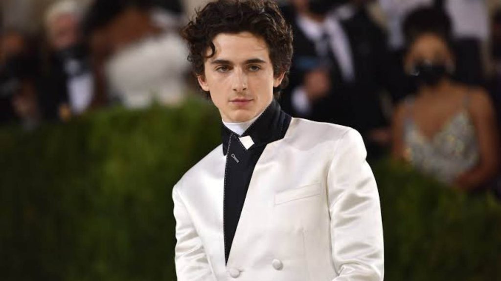 Timothée Chalamet 