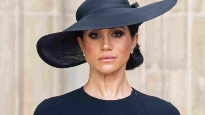 Meghan Markle receives support amidst the Politico article controversy