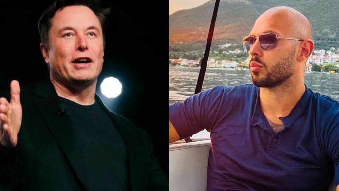 Elon Musk grills Andrew Tate after his arrest
