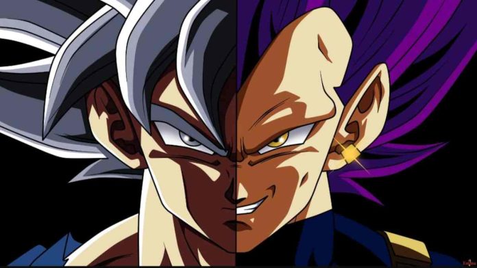 Goku and Vegeta