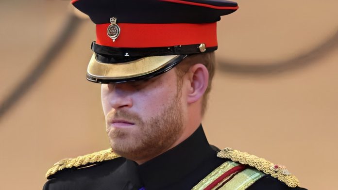 Not Everyone's Happy With Prince Harry's MIlitary Statistics