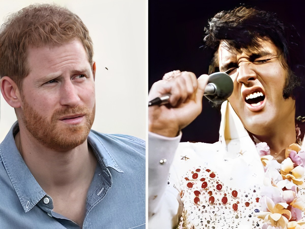 "Interior Designer Must've Been On Acid" Prince Harry Mocks Elvis