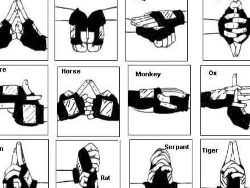 certain hand sign required to perform jutsu 